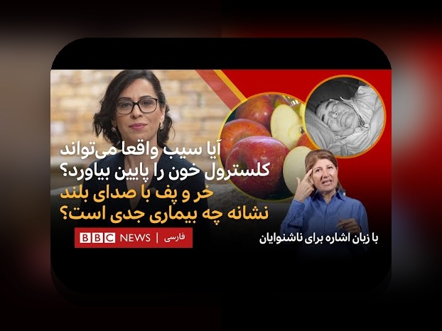 برنامه سیب چیست و چرا در سایت شرط بندی اهمیت دارد؟ کشف رازهای جذاب برنامه سیب برای کاربران ایرانی